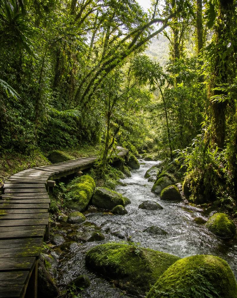 Sendero de montaña junto a una quebrada en La Buitrera